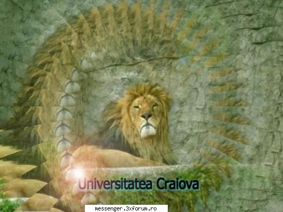 Poze - poze cu U Craiova !!! - Craiova